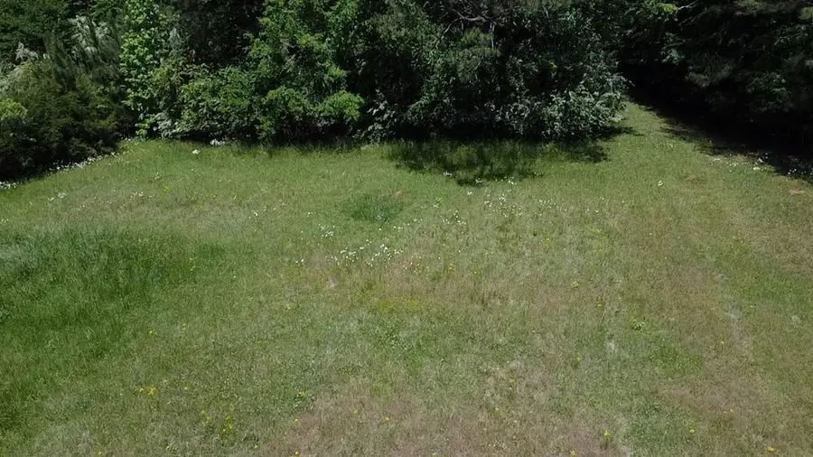 821 Greenwood St E, Abbeville, SC 29620 - #2