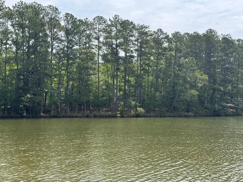 Lot 14 Emerald Cove Lake Community, Cross Hill, SC 29332 - #1