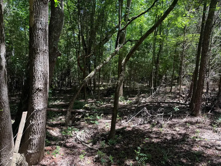 0 Old Greenwood Highway, Abbeville, SC 29620 - #3