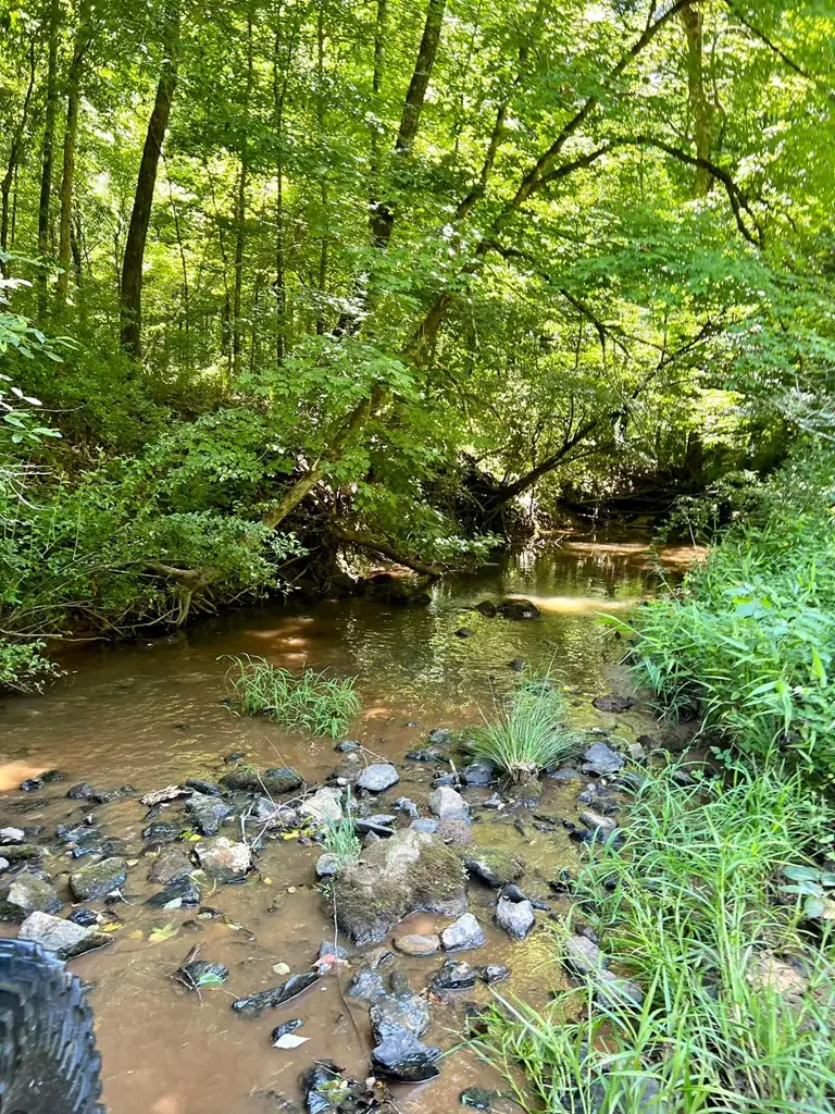 A 10.5 Acres 83 Three B Dr, Abbeville, SC 29260 - #2