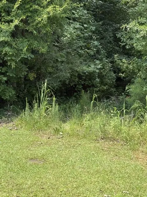 TBD Island Ford Rd, Ninety Six, SC 29666 - #2
