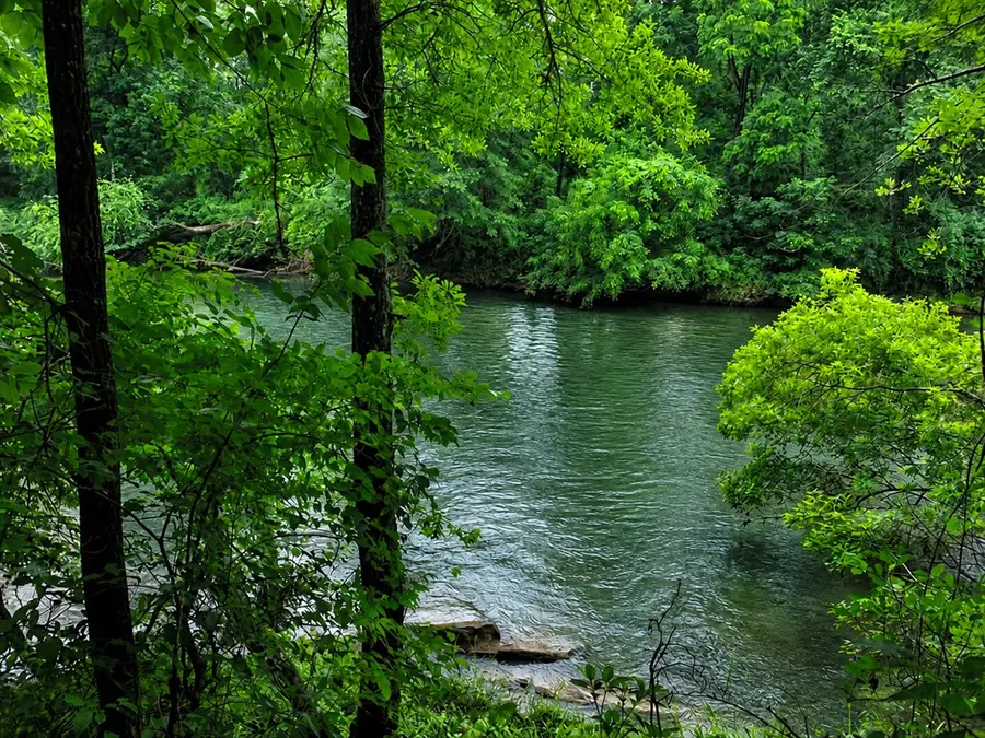 790 Free Bridge Rd, Ware Shoals, SC 29692 - #2