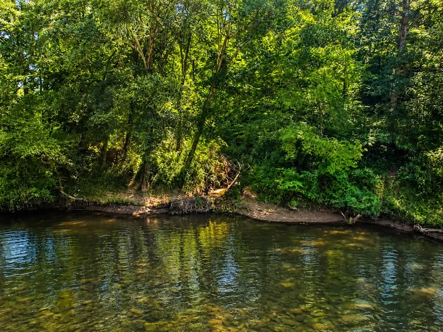 790 Free Bridge Rd, Ware Shoals, SC 29692 - #3