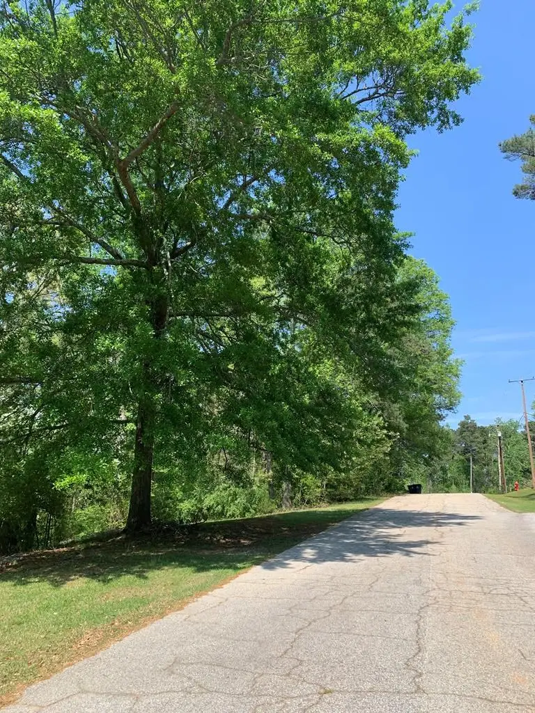 0 Morningside Dr, Abbeville, SC 29620 - #3