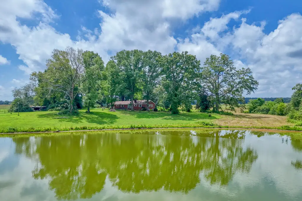 11015 Bush River Road, Kinards, SC 29355 - #1