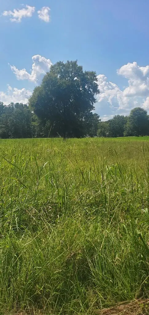 987 Scurry Church Rd, Chappells, SC 29037