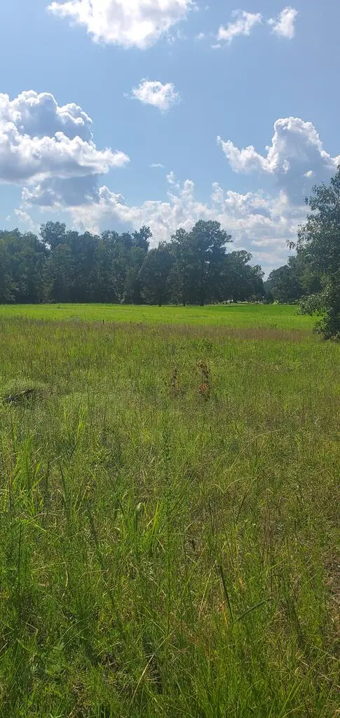 1013 Scurry Church Rd, Chappells, SC 29037