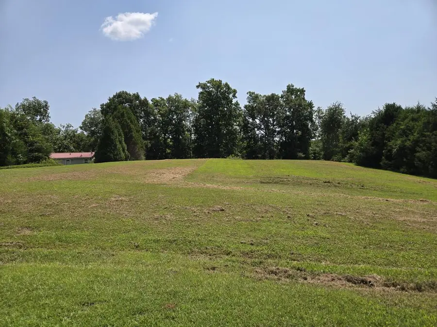 tbd Stroup Ct, Waterloo, SC 29384 - #3