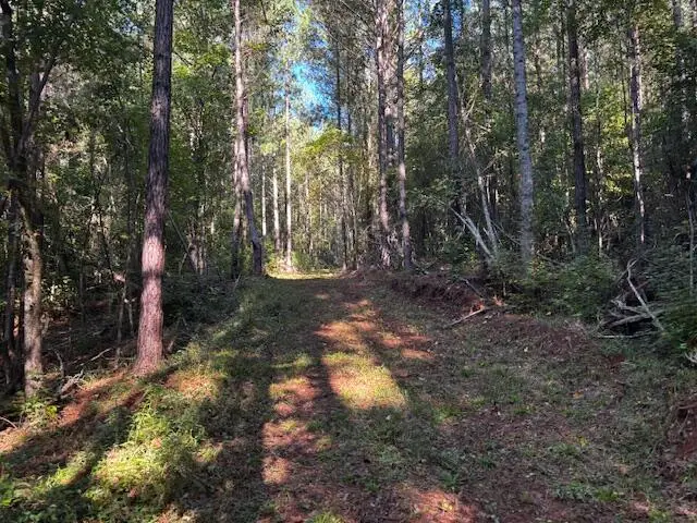 0 Highway 34, Chappells, SC 29037 - #3