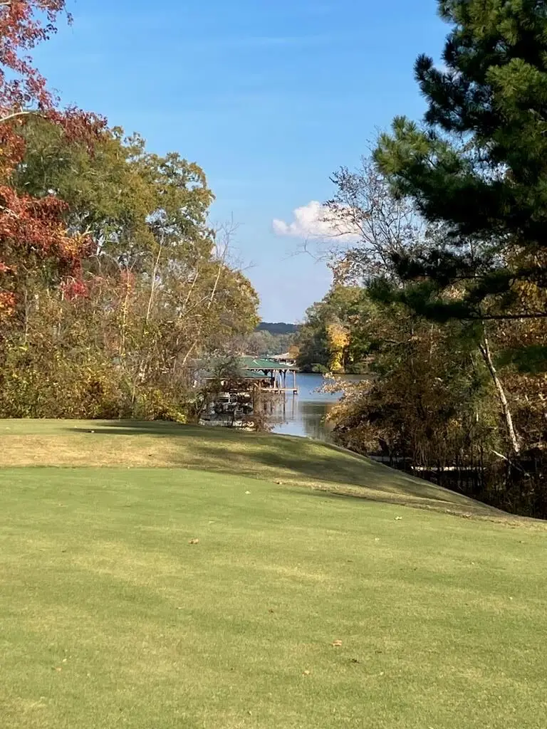 142 Swing About, Greenwood, SC 29649 - #1