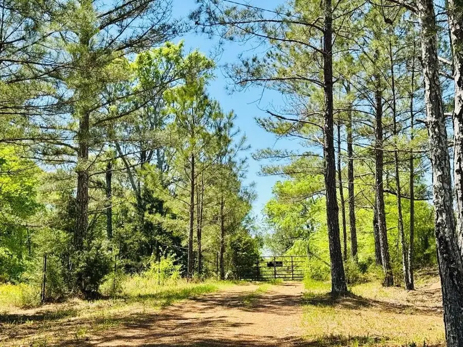 10389 Indian Mound Road, Ware Shoals, SC 29692 - #2