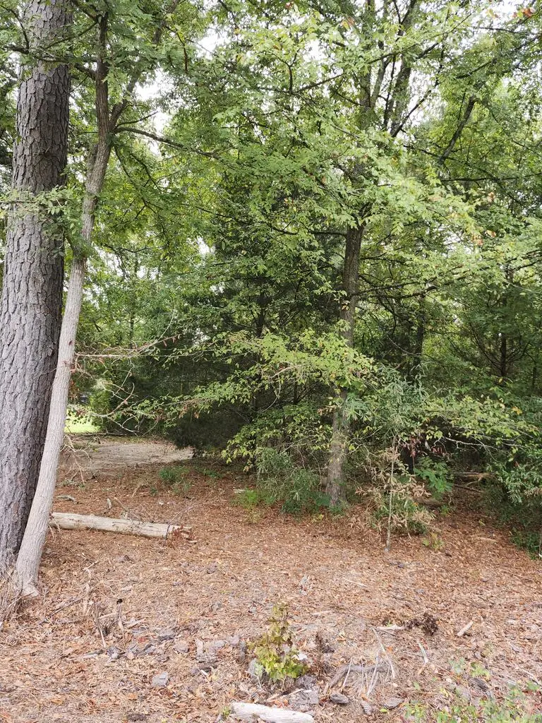 00 Rest Rd, Waterloo, SC 29384 - #3