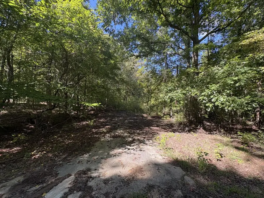 1914 Nation Rd, Hodges, SC 29653 - #3
