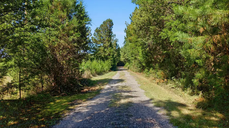 2684 Shiloh Rd, Saluda, SC 29138 - #2