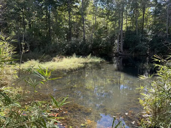 00 Robinson Rd., Belton, SC 29627