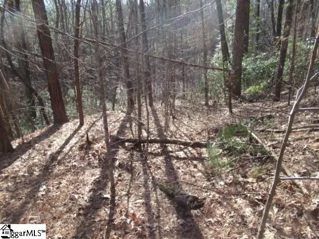 11 Matthews Creek Lane, Cleveland, SC 29635 - Image #3