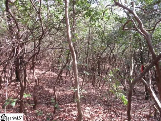 15 Matthews Creek Lane, Cleveland, SC 29635 - Image #3