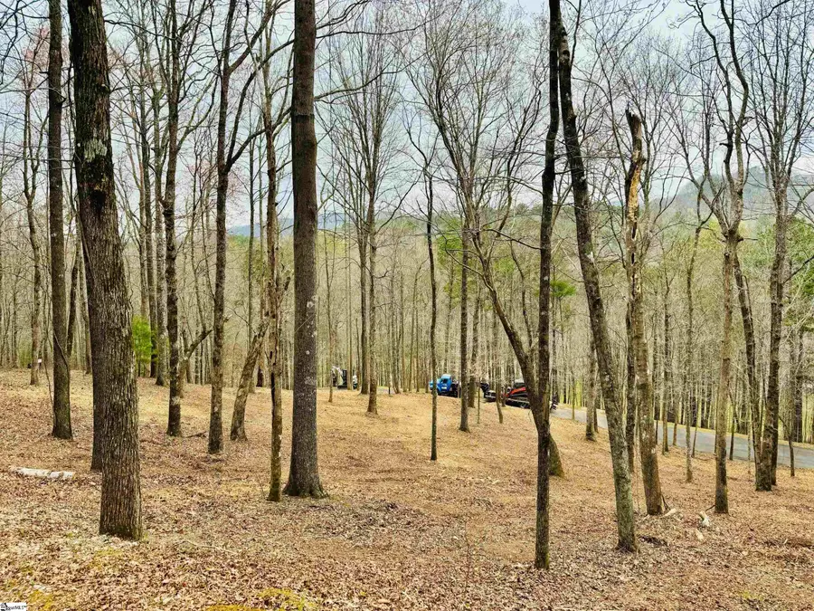 2 Buck Creek Trail, Travelers Rest, SC 29690 - #3