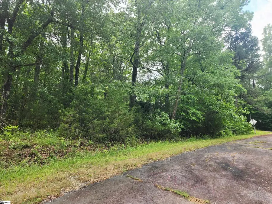 00 Tibbitts Lane, Waterloo, SC 29384 - Image #3