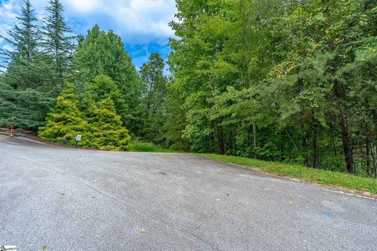 26 Crescent Pinyon Way, Marietta, SC 29661 - #1
