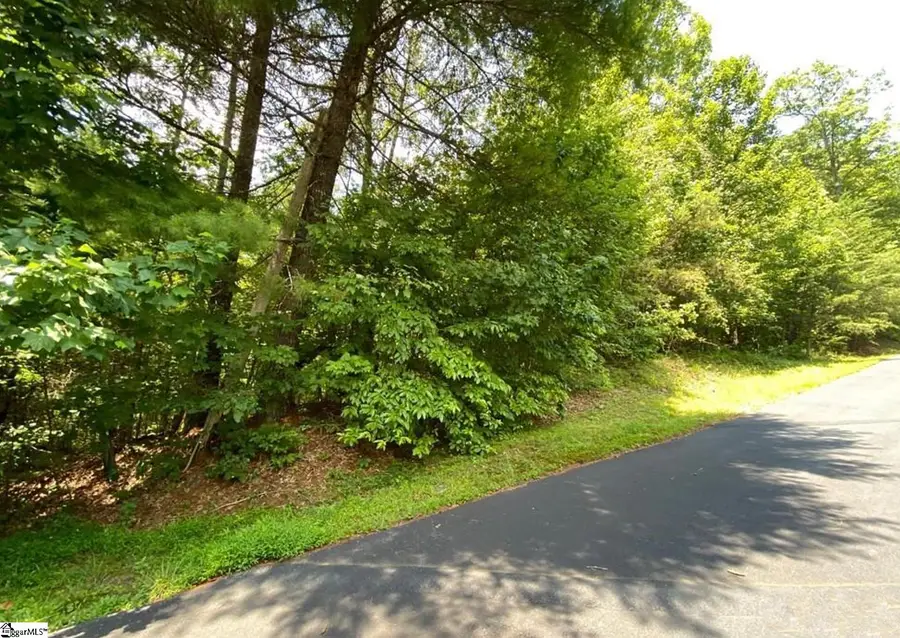 68 Stepp Ridge Court, Hendersonville, NC 28792 - Image #2