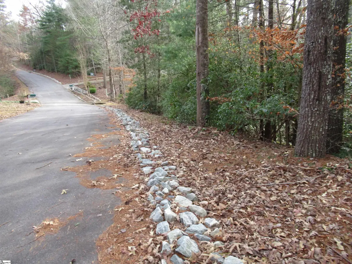 213 Falcon Crest Way, Pickens, SC 29671 - #1
