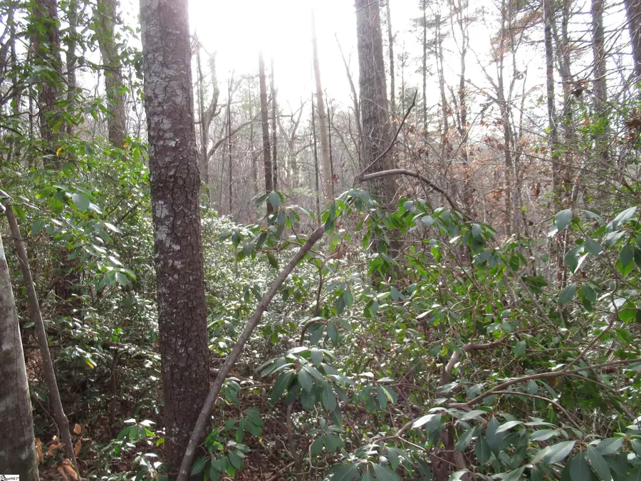 213 Falcon Crest Way, Pickens, SC 29671 - #3