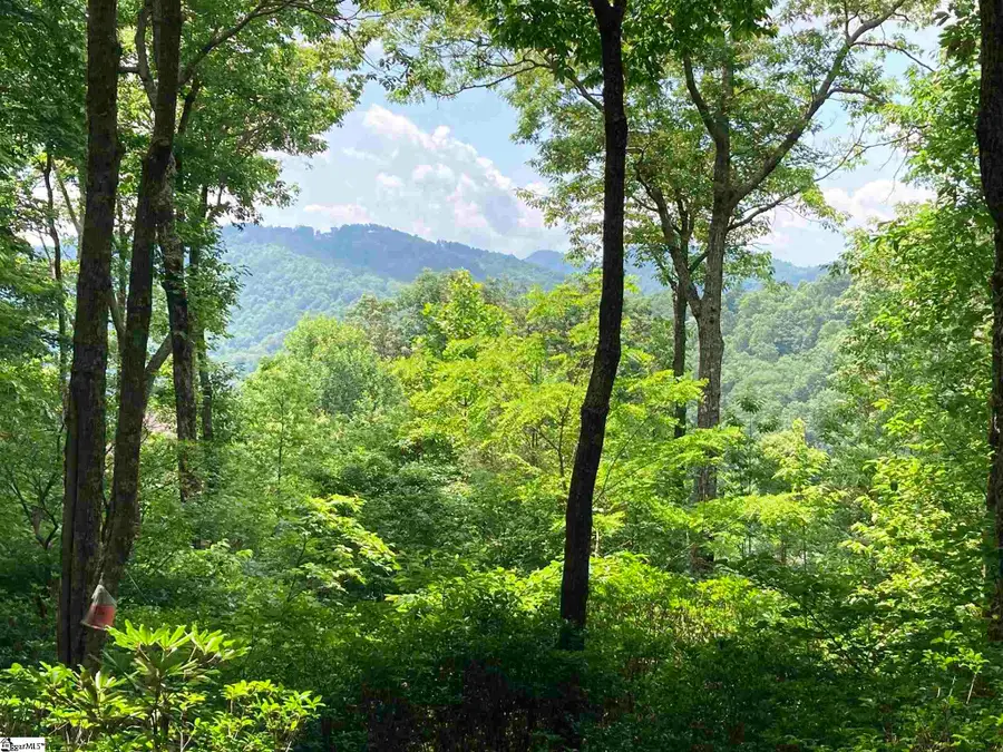 21 High Vista Way, Travelers Rest, SC 29690 - Image #3