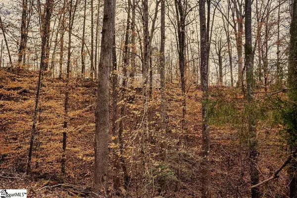 001 Blue Heron Cove, Abbeville, SC 29620