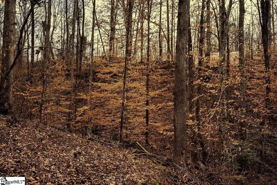 002 Blue Heron Cove, Abbeville, SC 29620 - Image #3