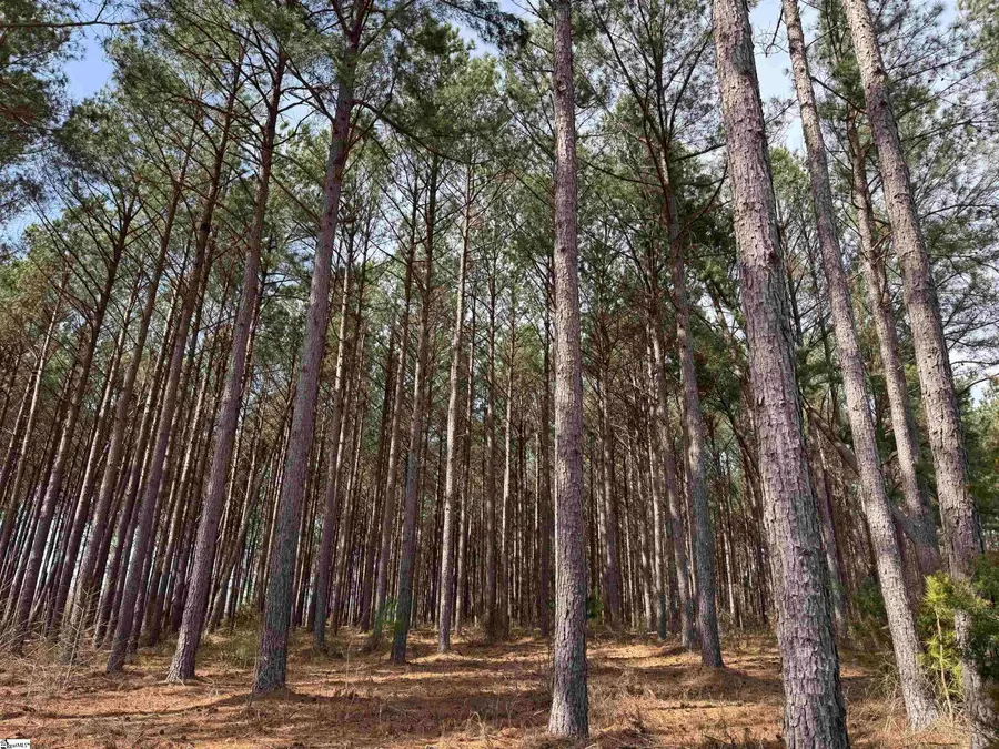 400 Bolt Road, Gray Court, SC 29645 - Image #3