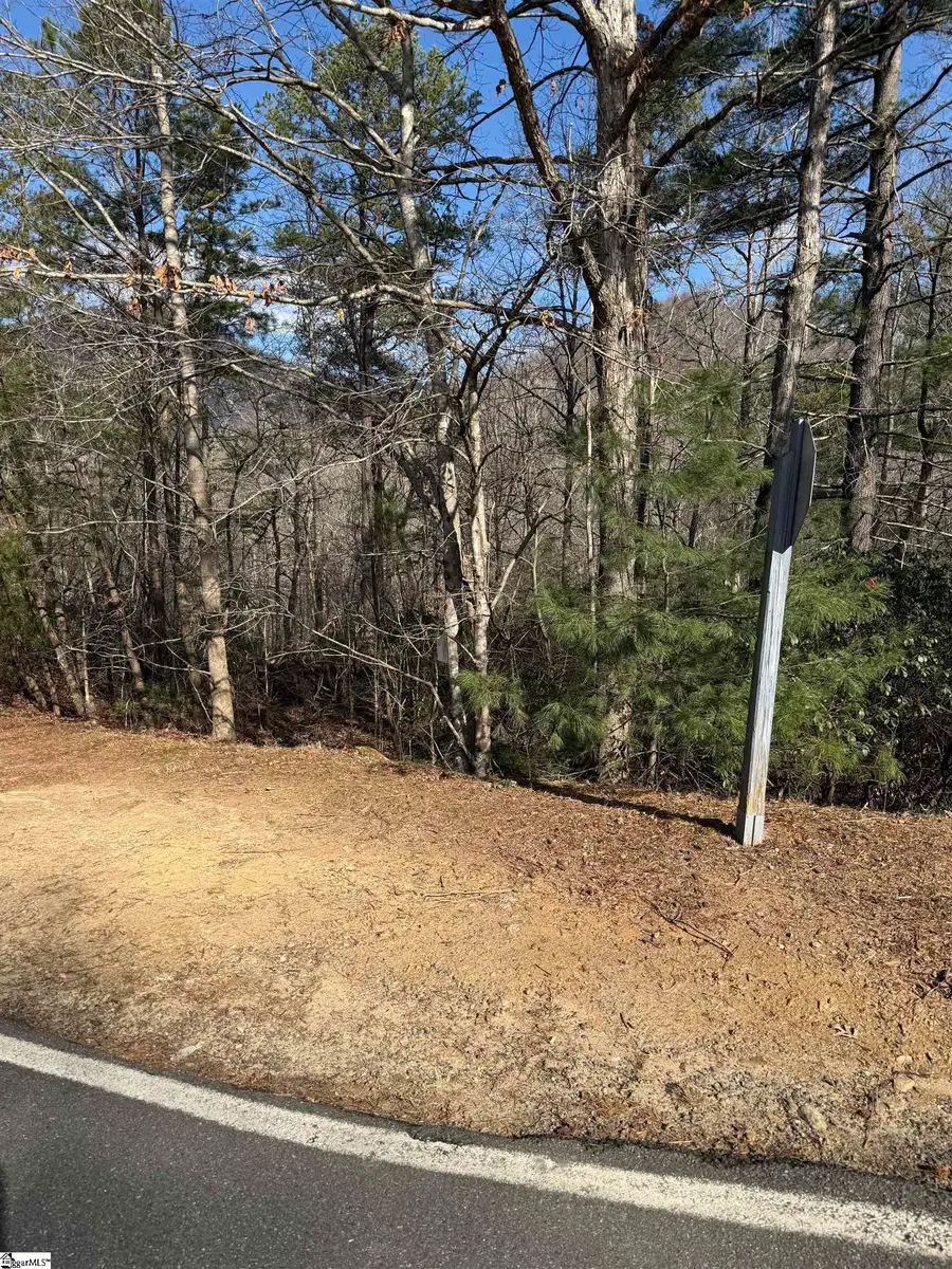 25 Lake Hill Lane, Travelers Rest, SC 29690 - #2