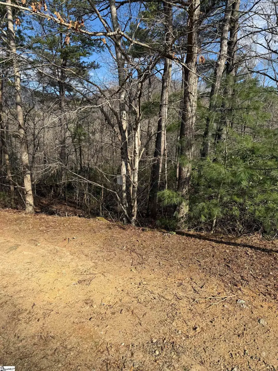 25 Lake Hill Lane, Travelers Rest, SC 29690 - #3