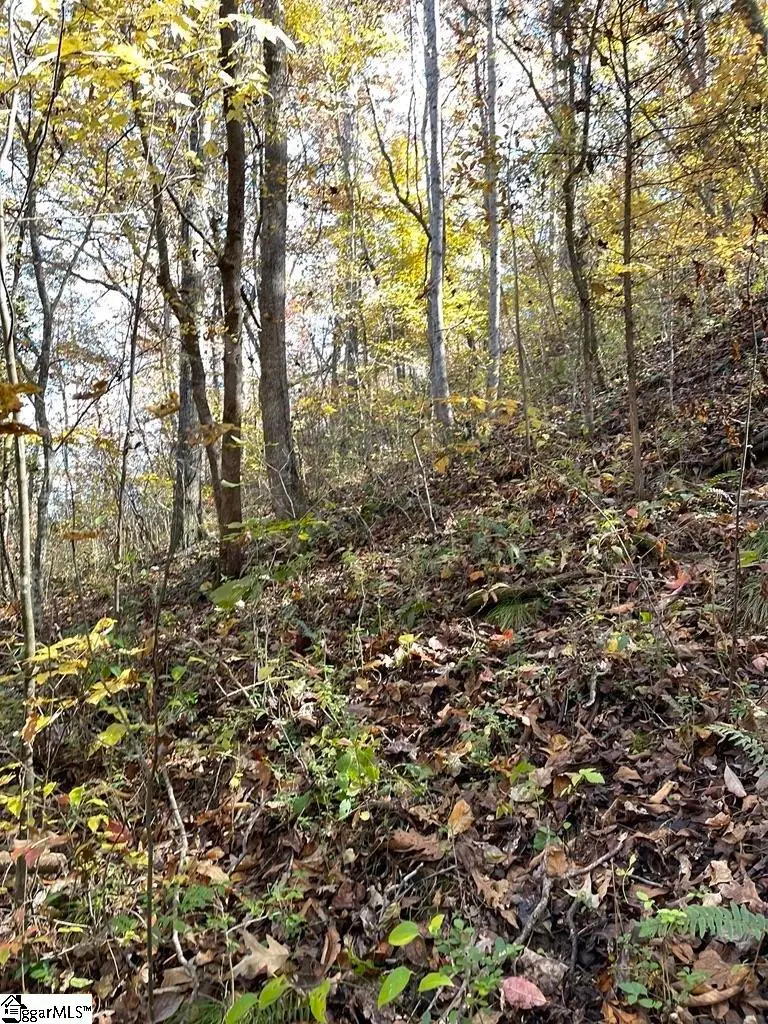 161 Chauga Shoals Drive, Westminster, SC 29693 - Image #2