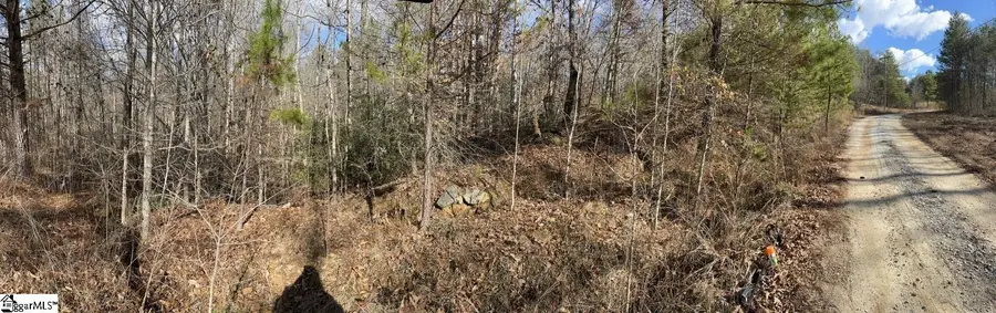 161 Chauga Shoals Drive, Westminster, SC 29693 - Image #3