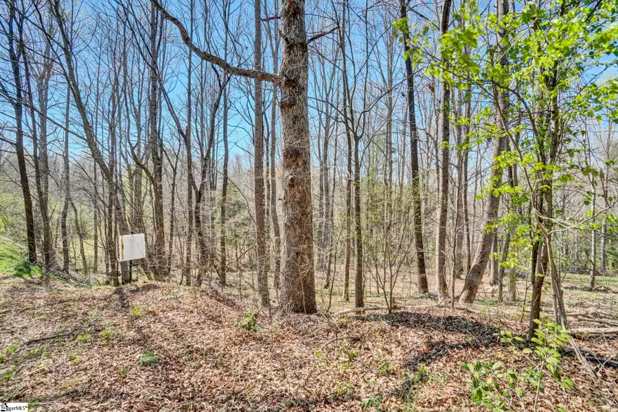 404 Thornbury Ridge, Easley, SC 29640 - Image #3