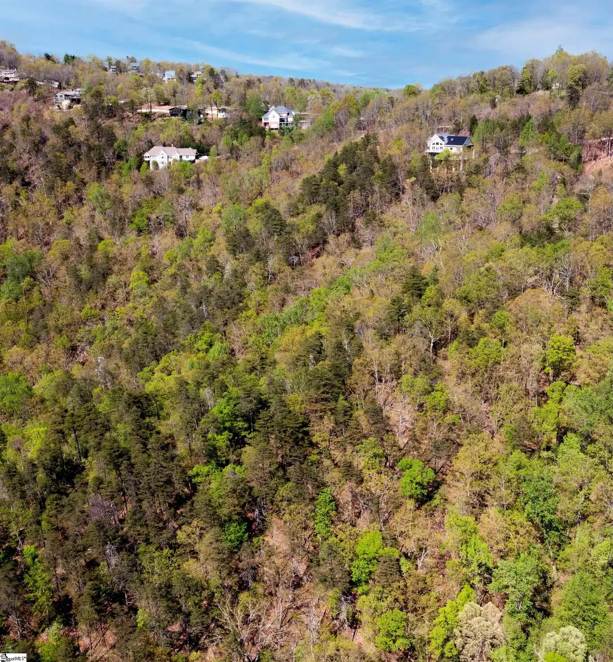 Laurel Ridge Road #Part lot 5/6, Greenville, SC 29609 - #1