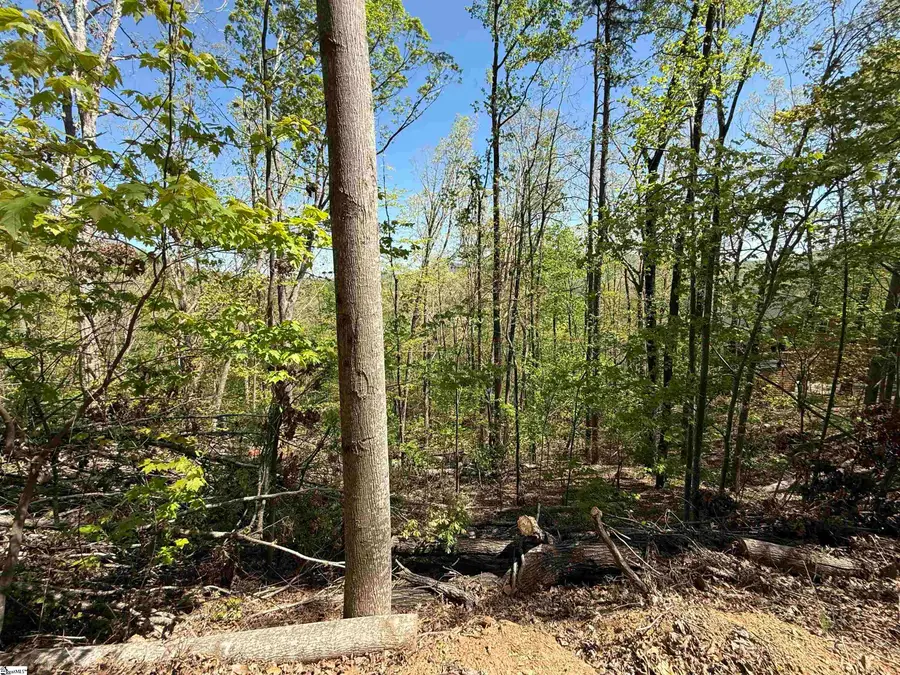 113 Stone Creek Court, Pickens, SC 29671 - Image #2