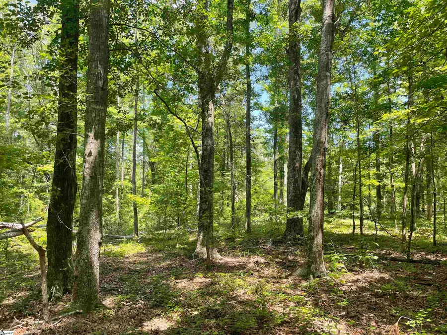 00 Clatworthy Road, Honea Path, SC 29654 - Image #3