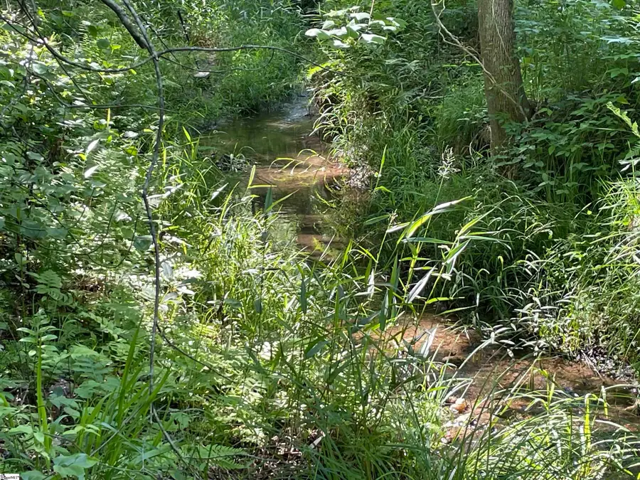 00 Clatworthy Road, Honea Path, SC 29654 - Image #3