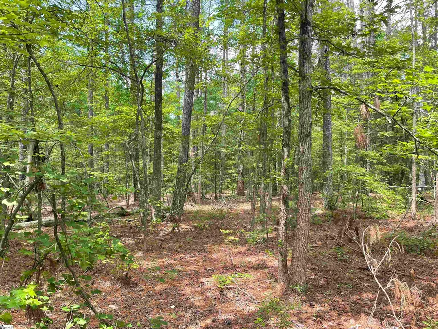 004 Clatworthy Road #Lot 4, Honea Path, SC 29654 - #2