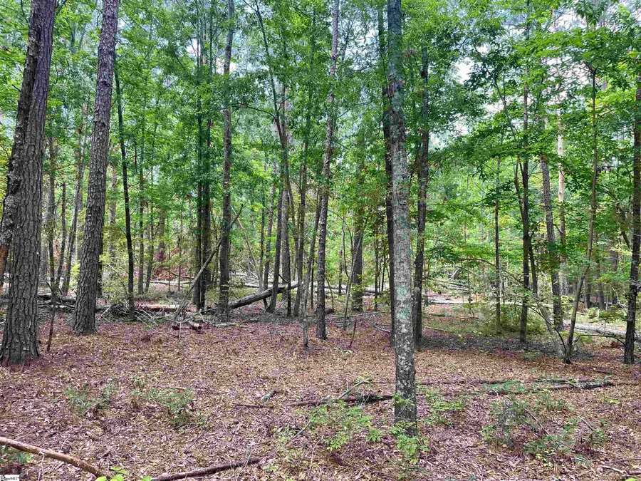 004 Clatworthy Road #Lot 4, Honea Path, SC 29654 - #3