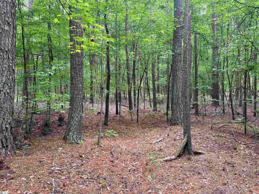 005 Clatworthy Road #Lot 5, Honea Path, SC 29654 - #2