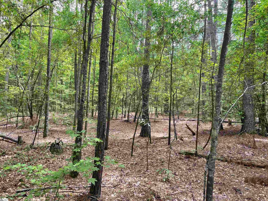 005 Clatworthy Road #Lot 5, Honea Path, SC 29654 - #3