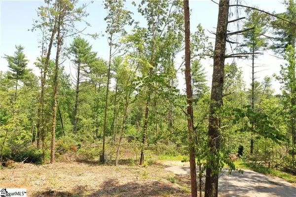 113 Sweetshrub Court, Sunset, SC 29685