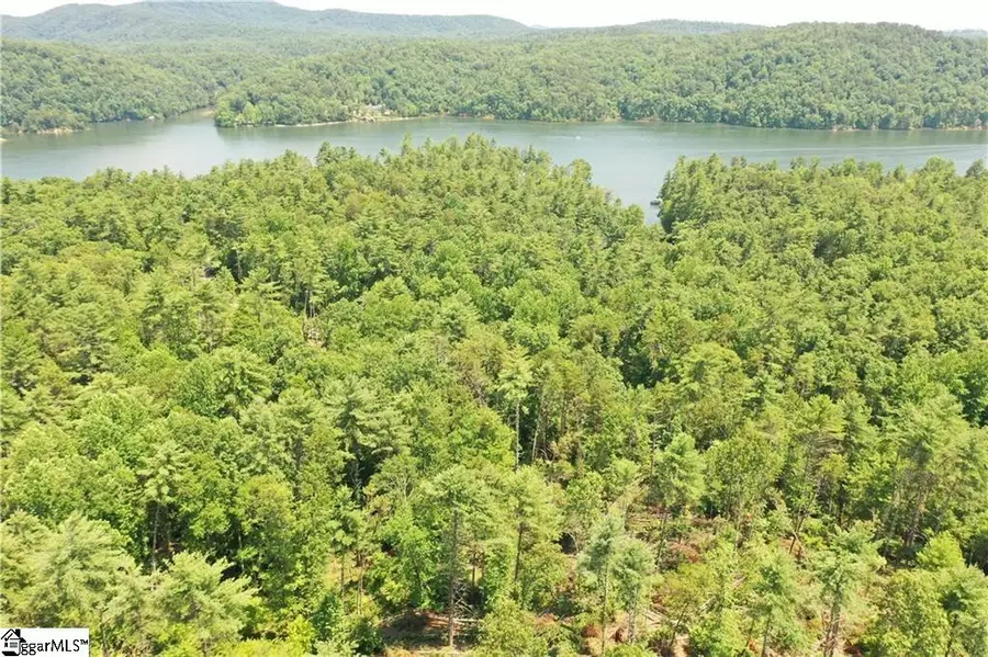 113 Sweetshrub Court, Sunset, SC 29685 - Image #2