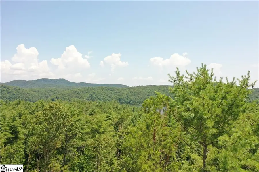 113 Sweetshrub Court, Sunset, SC 29685 - Image #3