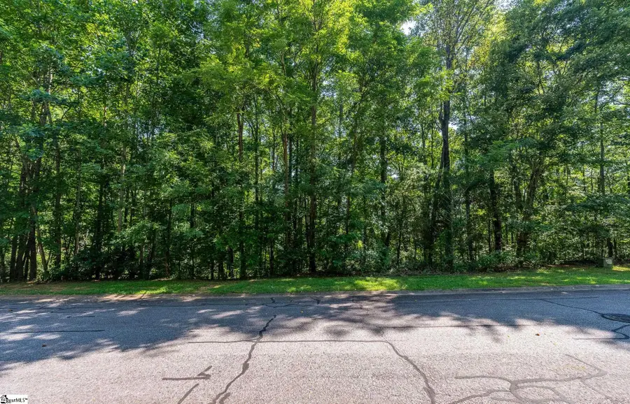 313 Laurel Valley Way, Travelers Rest, SC 29690 - Image #2