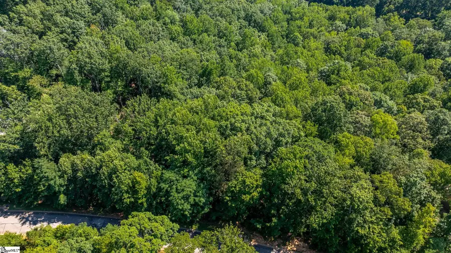 317 Laurel Valley Way, Travelers Rest, SC 29690 - Image #3