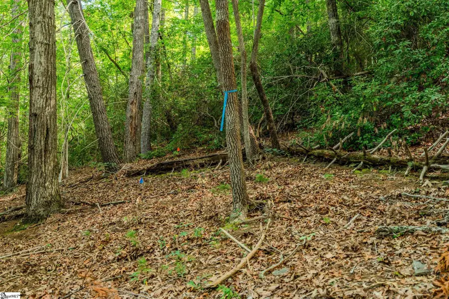 108 Blazing Star Court, Sunset, SC 29685 - Image #3